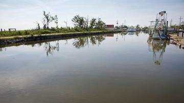 Brain-Eating Amoeba Found in Water Supply of New Orleans Suburb Brain-Eating Amoeba Found in Water Supply of New Orleans Suburb