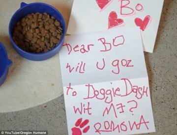 Goldendoodle Ramona Asks First Dog For Paw In Marriage Goldendoodle Ramona Asks First Dog For Paw In Marriage