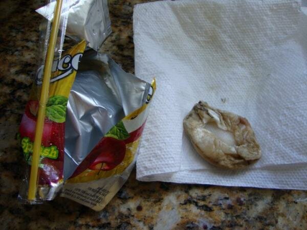 Fungus in Capri Sun... So What?