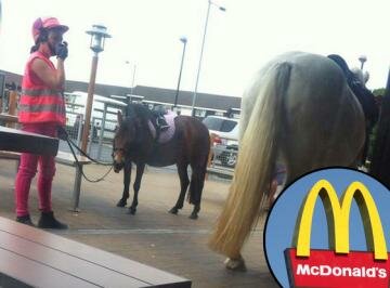 Woman Fined for Bringing Her Horse Into McDonald's Woman Fined for Bringing Her Horse Into McDonald's
