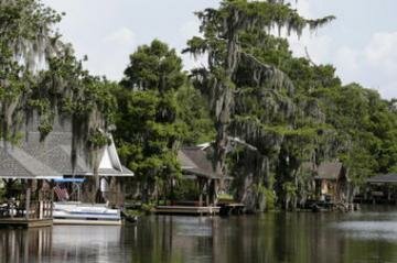 Sinkhole Swallows Tree - Video Sinkhole Swallows Tree - Video