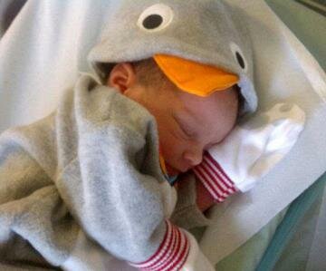 Family Dog Fatally Bit Week-Old Baby in the Head Then Curled Up Next to Him in Carry Cot Family Dog Fatally Bit Week-Old Baby in the Head Then Curled Up Next to Him in Carry Cot