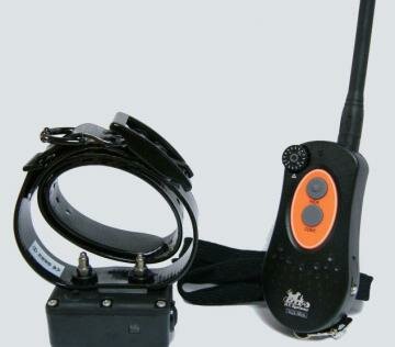 Mother-of-9 'Punished Her 2 Adopted Special Needs Children Using a Dog Shock Collar' Mother-of-9 'Punished Her 2 Adopted Special Needs Children Using a Dog Shock Collar'